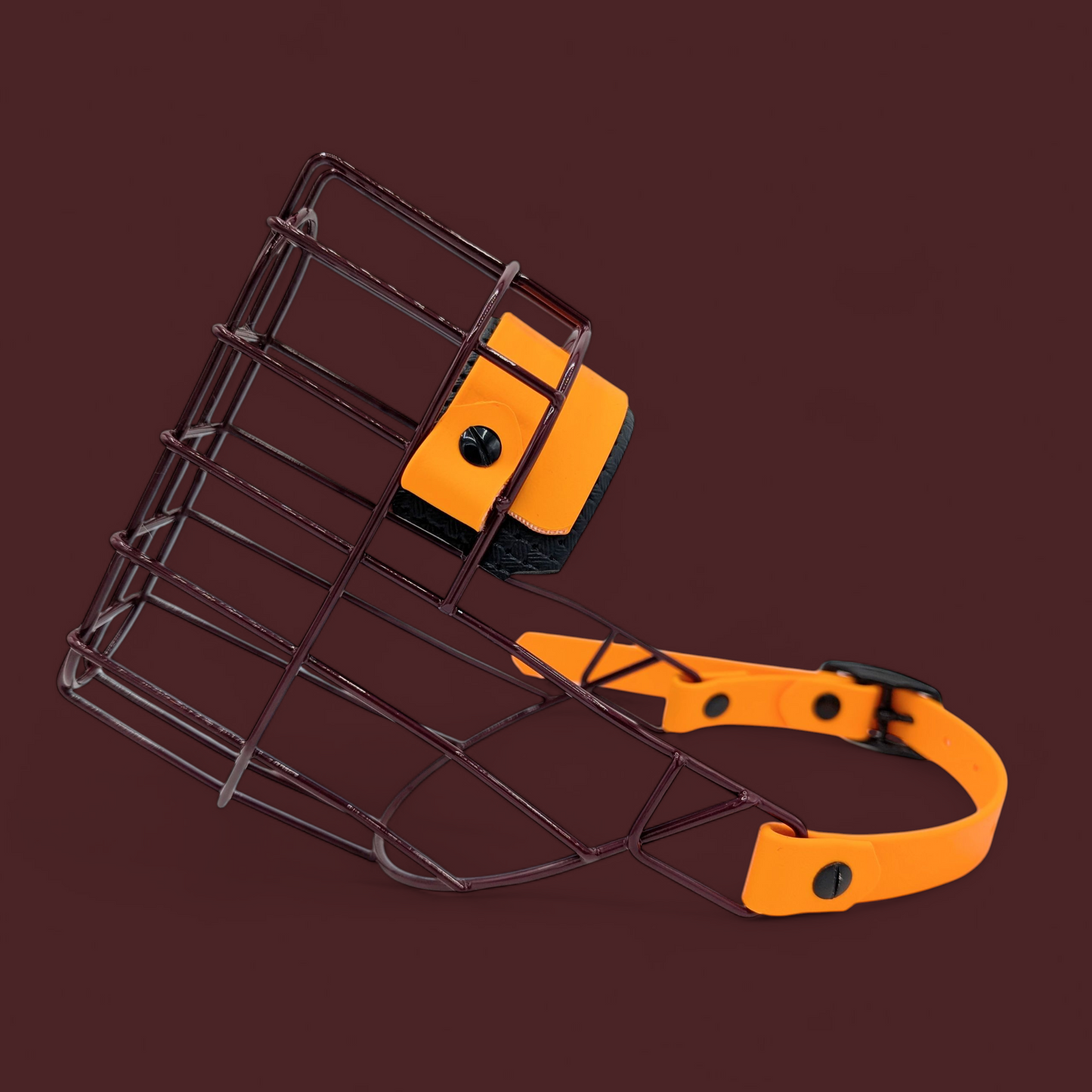 MF Hütehund 2 lang in Bordeaux *Sale*