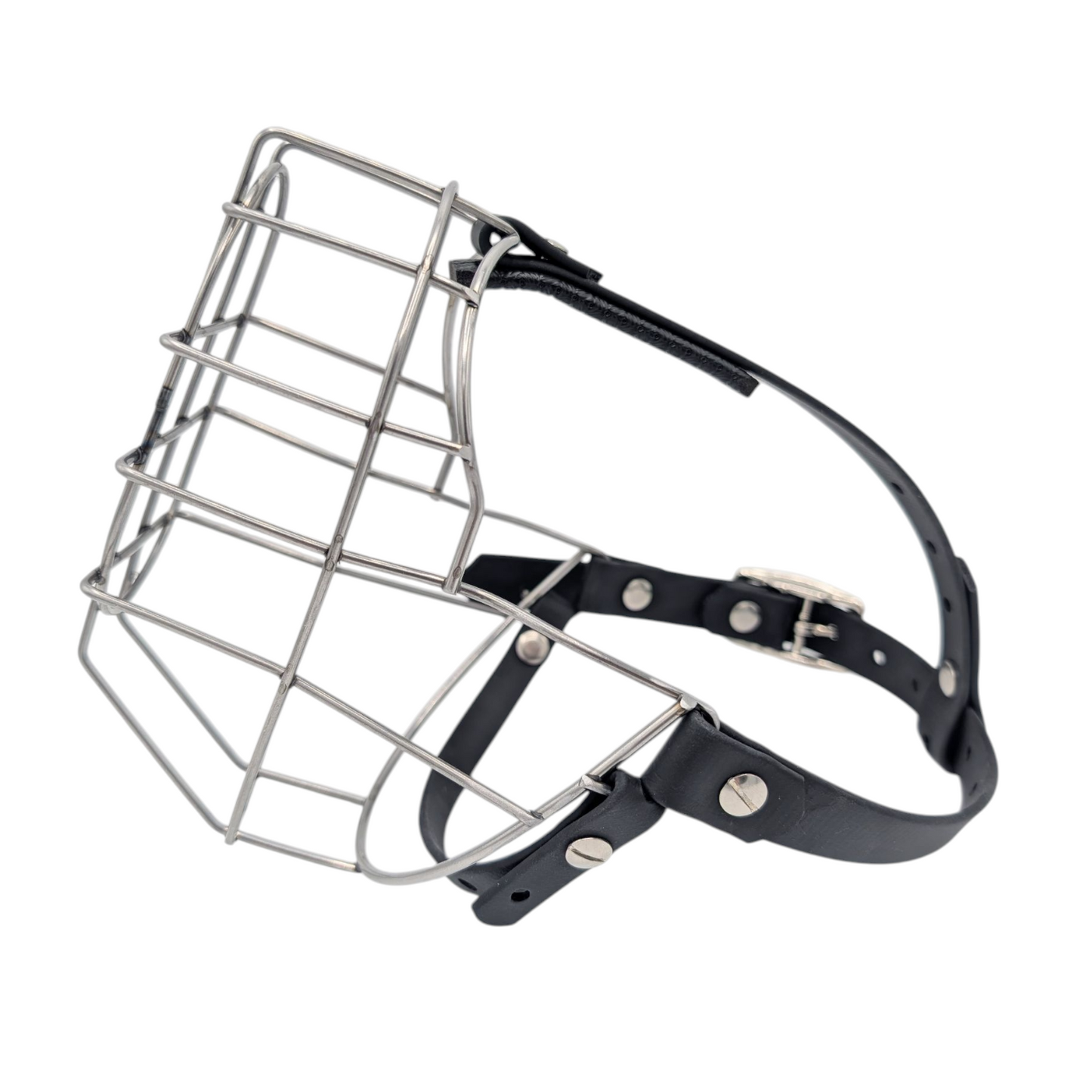 MF Plattnase 2 *Vorverkauf*