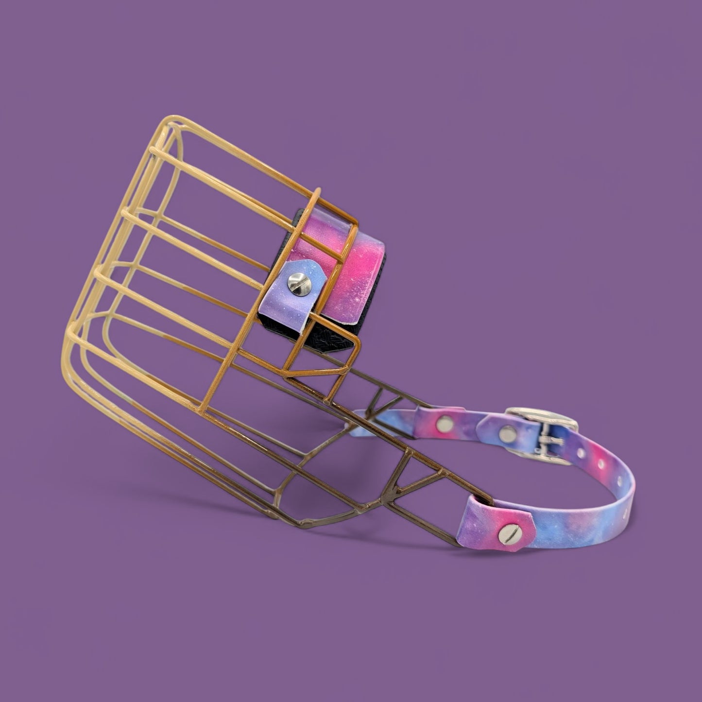 Maulkorb Labrador Rüde mit Farbverlauf *verstärkt*