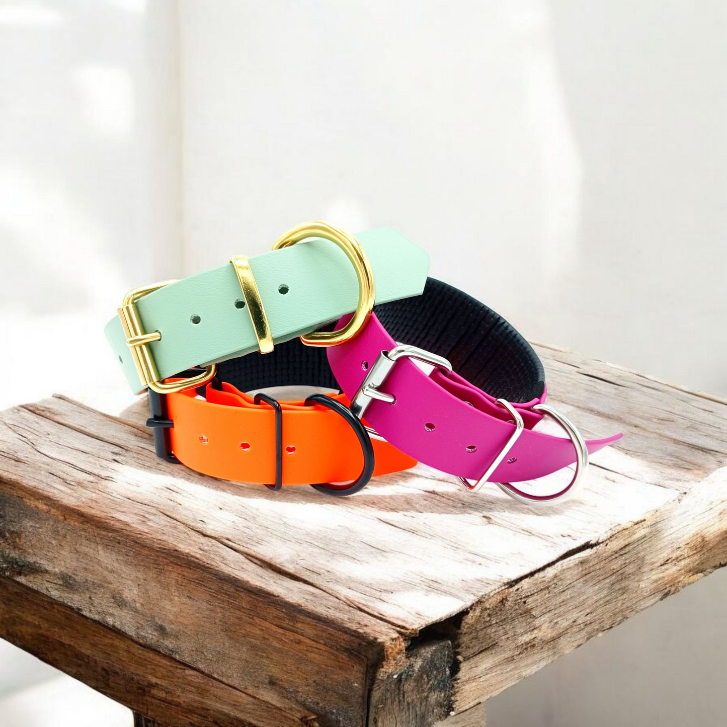 Biothane Halsband Boston