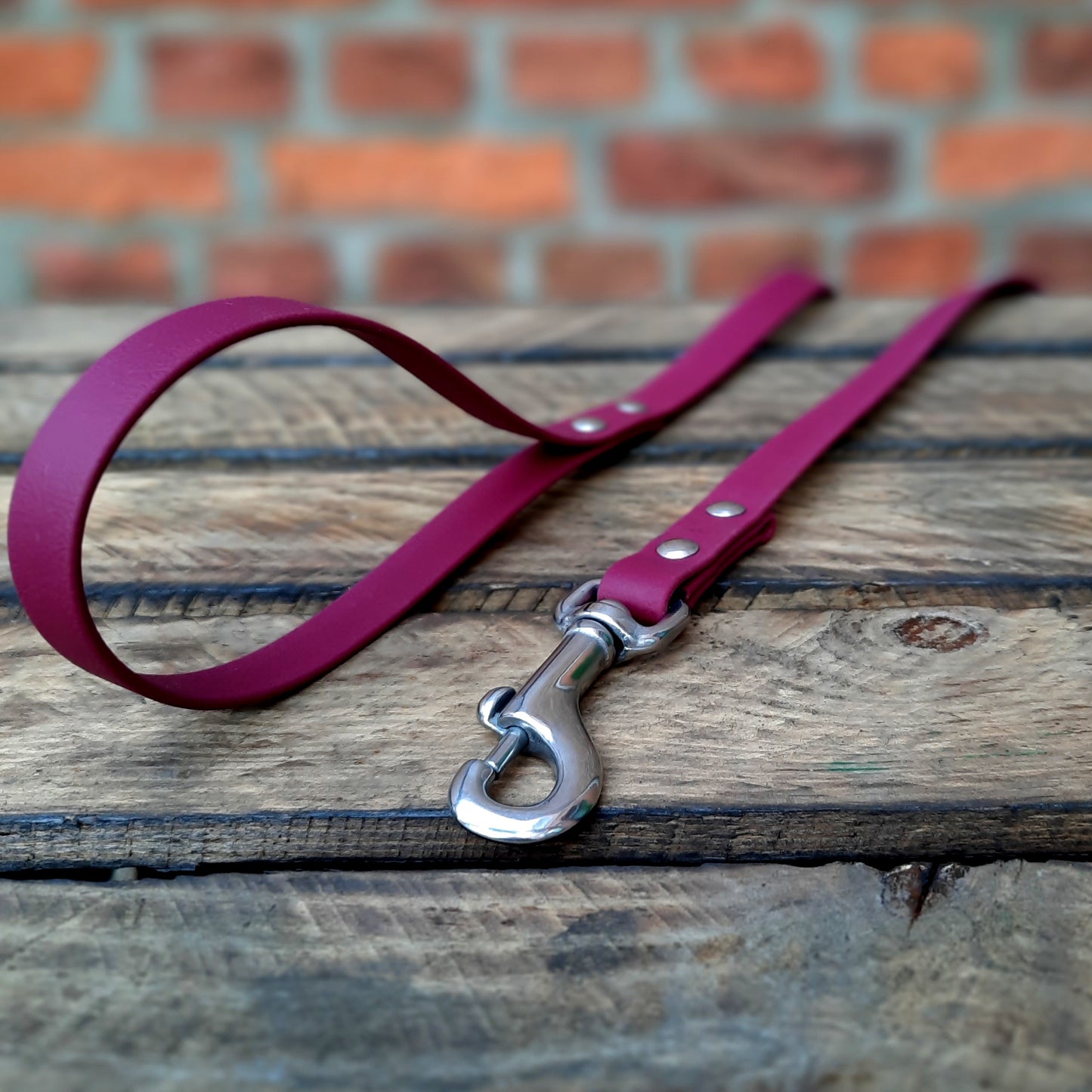 Biothane Hundeleine City 1,2m mit Handschlaufe