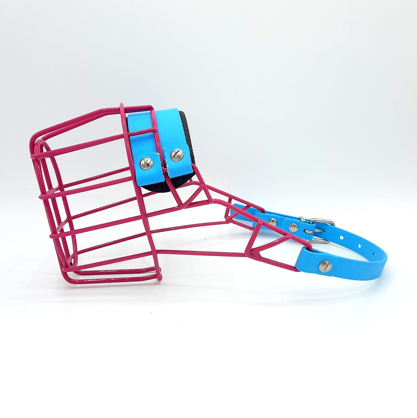 MF Bullterrier S lang