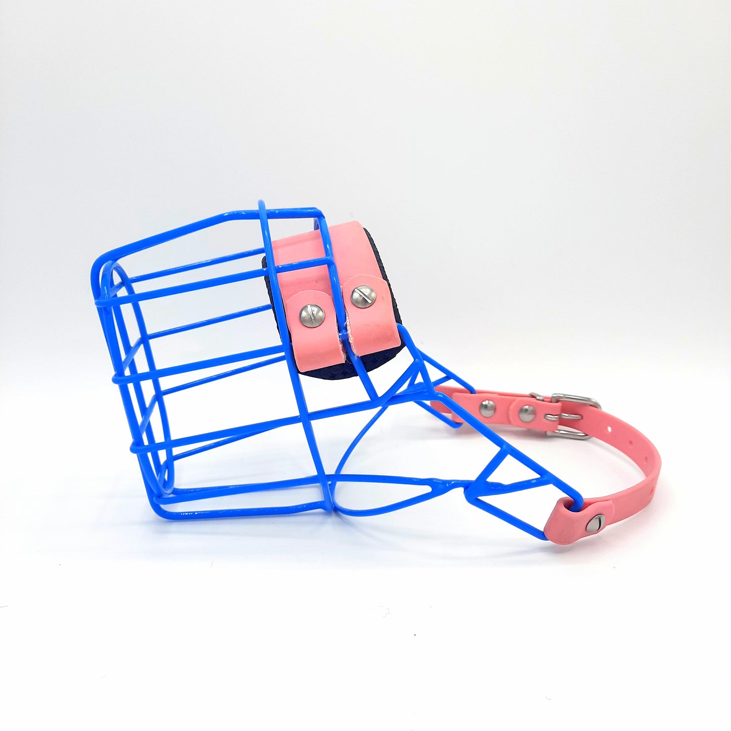 MF Bullterrier S lang