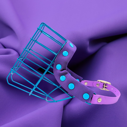 MF Schäferhund 2 kurz in Metallic Türkis *verstärkt*