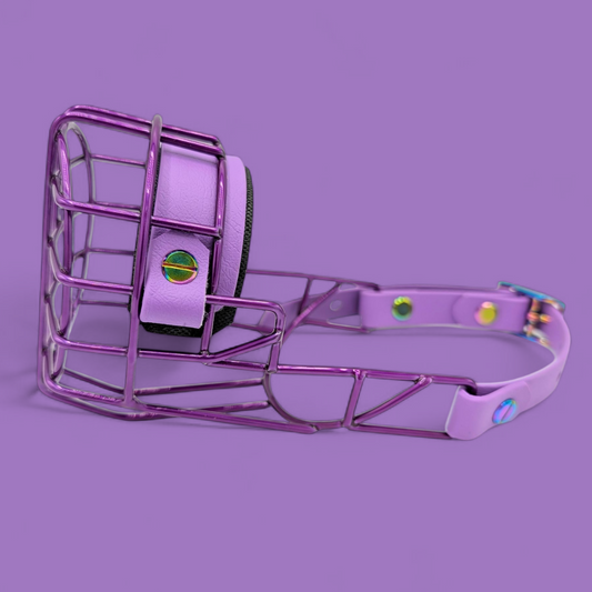 Maulkorb Zwergschnauzer Hündin in Metallic Brombeer *verstärkt*