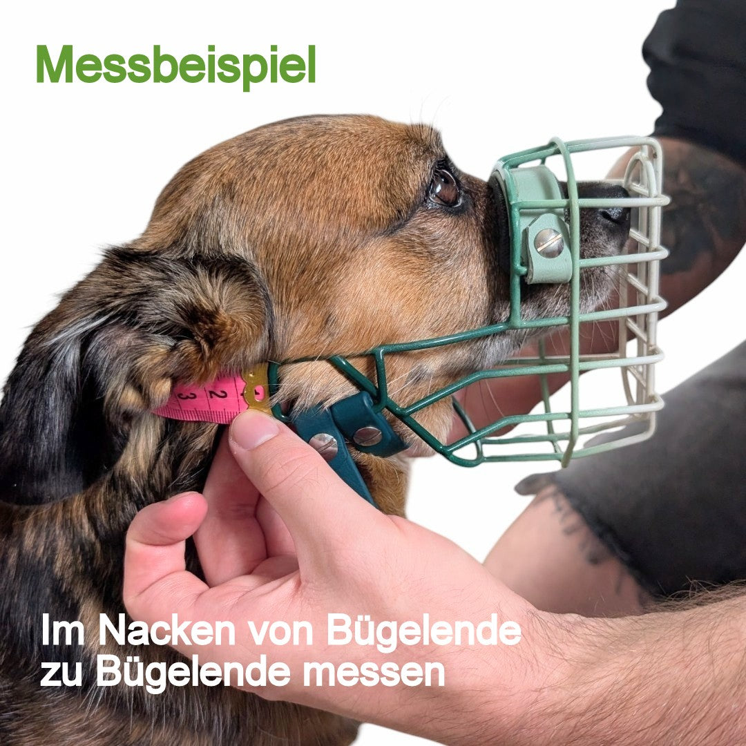 Verschlussriemen für Maulkörbe, versch. Sorten