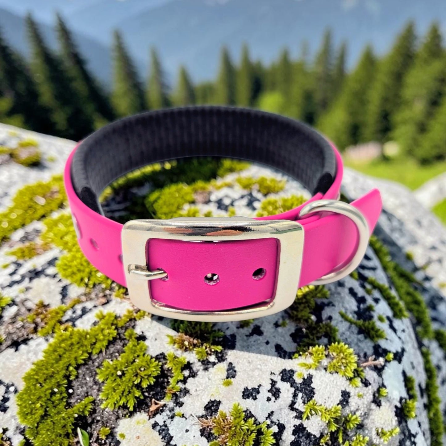 Biothane Halsband Basic