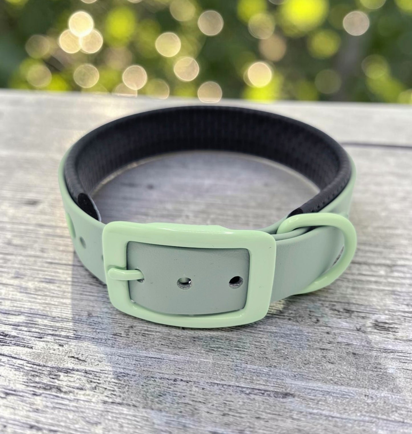 Biothane Halsband Miami