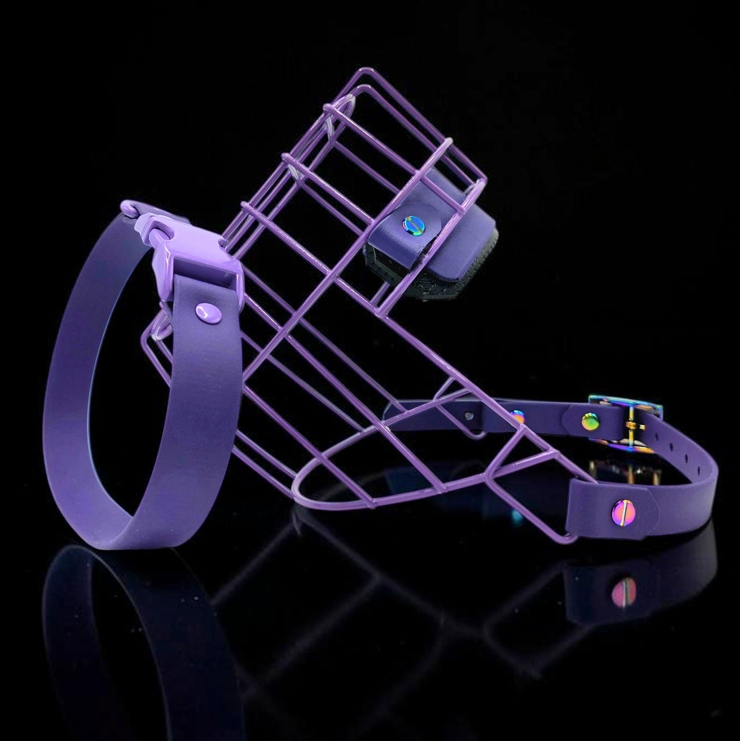 Biothane Halsband Miami