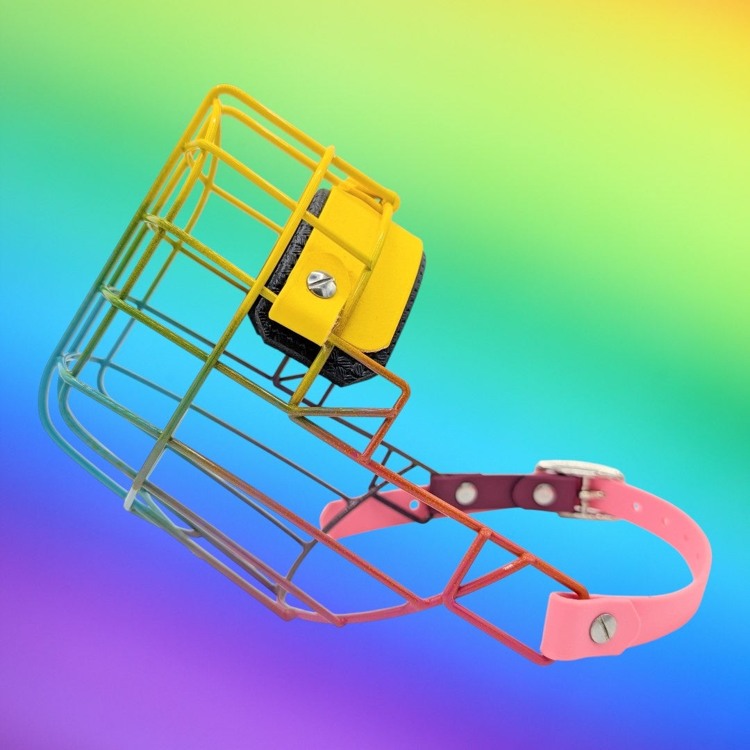 Maulkorb Pitbull Rüde in Regenbogenfarben *B-Ware*