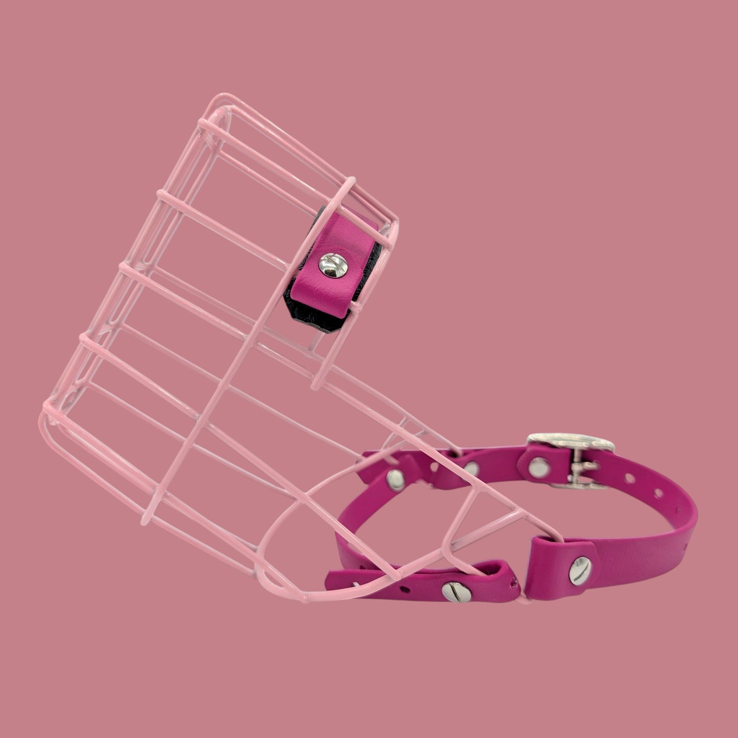 MF Hütehund 1 kurz in Rosa *Sale*