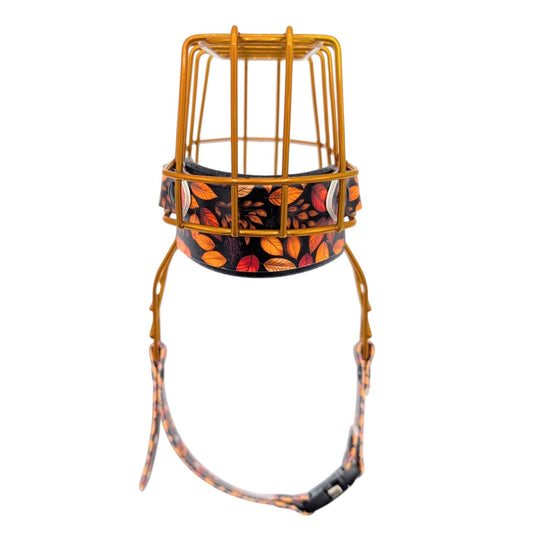 MF Hütehund 1 in Metallic Pumpkin *Sale*
